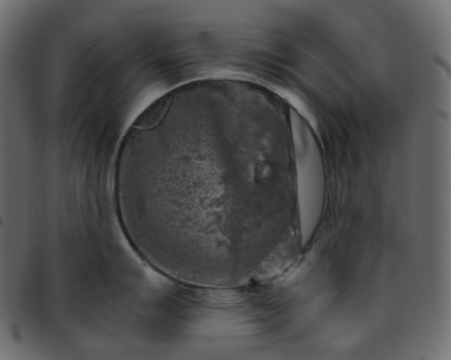 X0000095691007200801221243