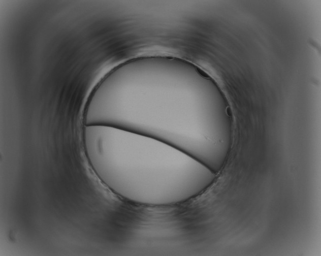 X0000095691008200801221243