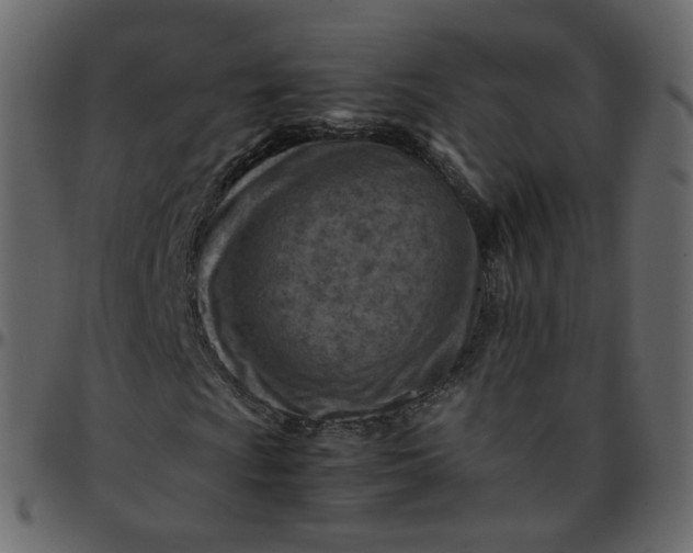 X0000095691009200801221243