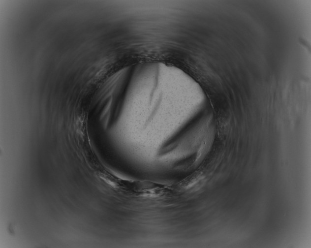 X0000095691010200801221243