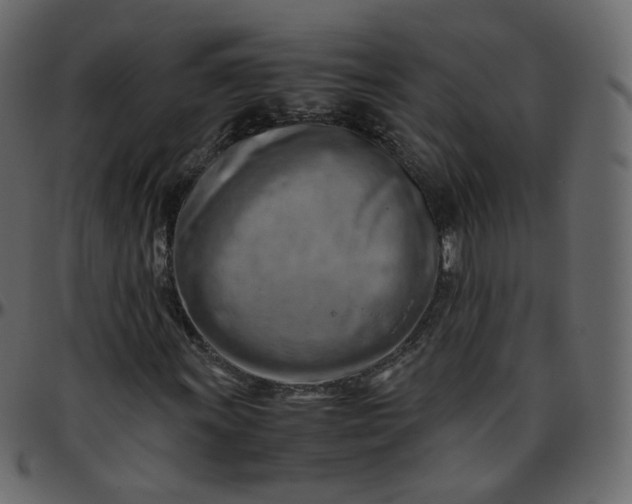 X0000095691011200801221243