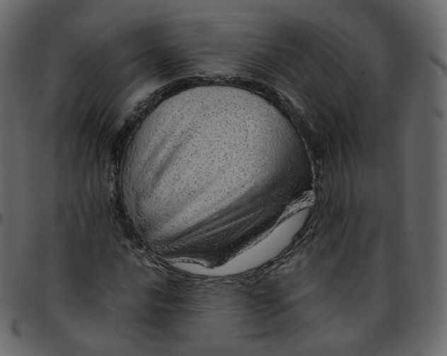 X0000095691016200801221243