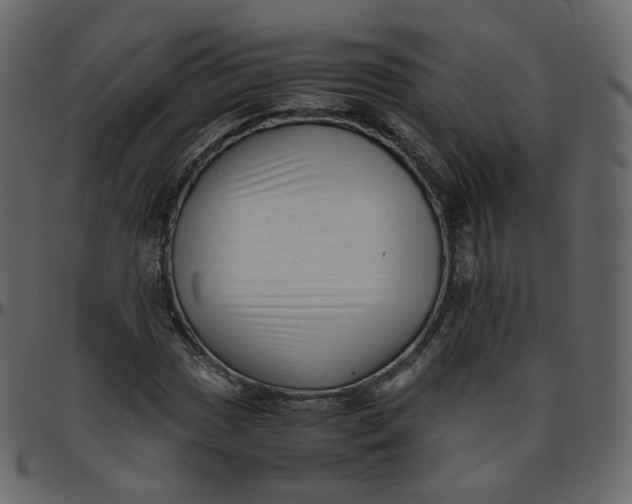 X0000095691017200801221243