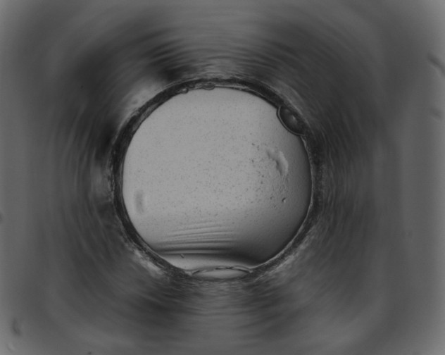 X0000095691018200801221243