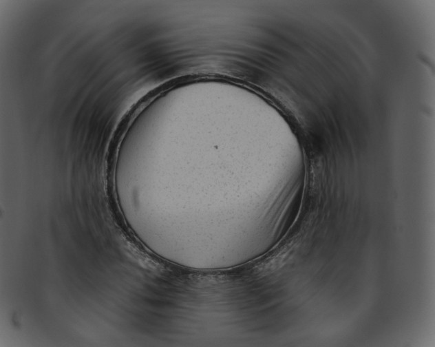 X0000095691020200801221243