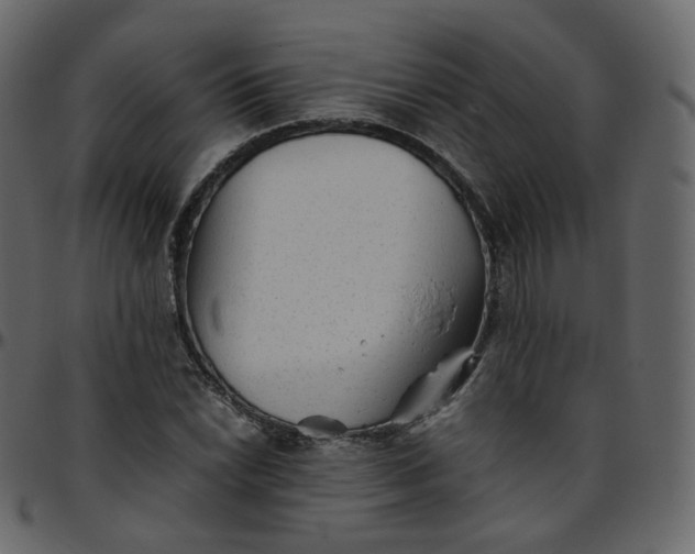 X0000095691022200801221243