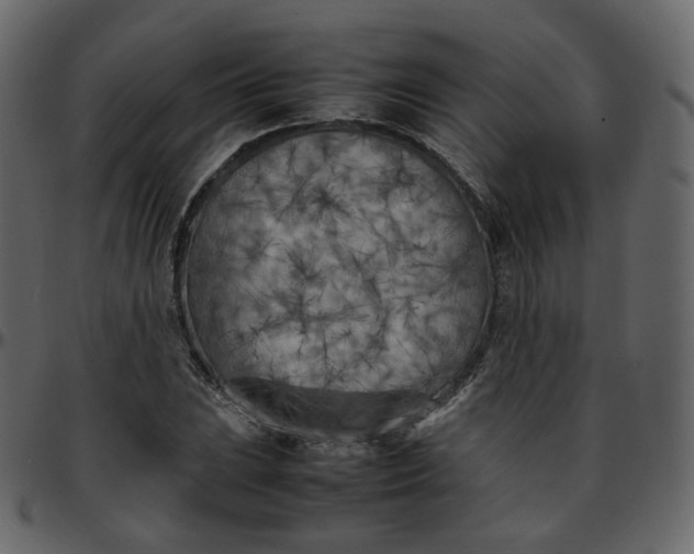 X0000095691023200801221243