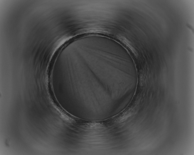 X0000095691024200801221243