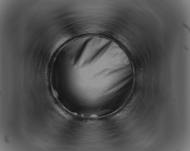 X0000095691026200801221243