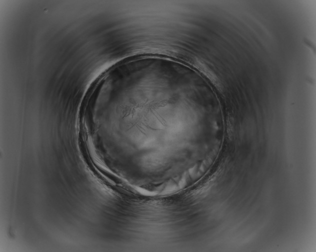 X0000095691028200801221243