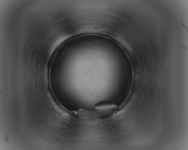 X0000095691030200801221243