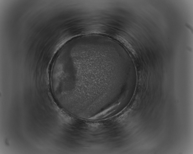 X0000095691031200801221243