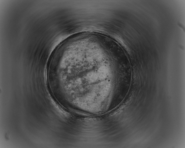 X0000095691032200801221243