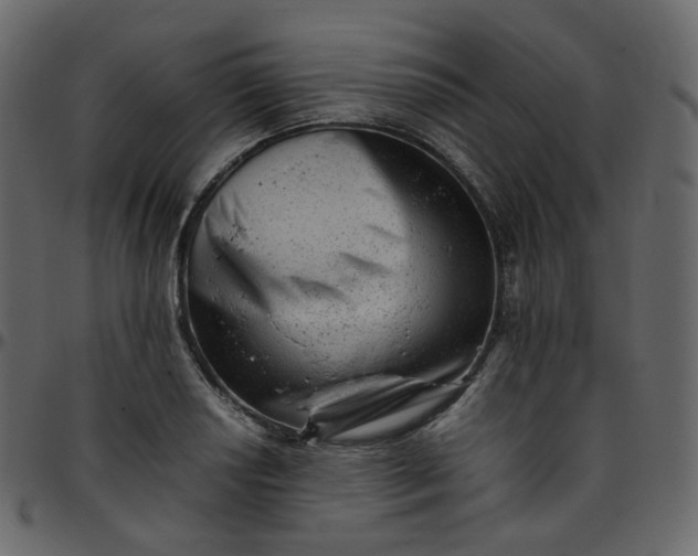 X0000095691034200801221243