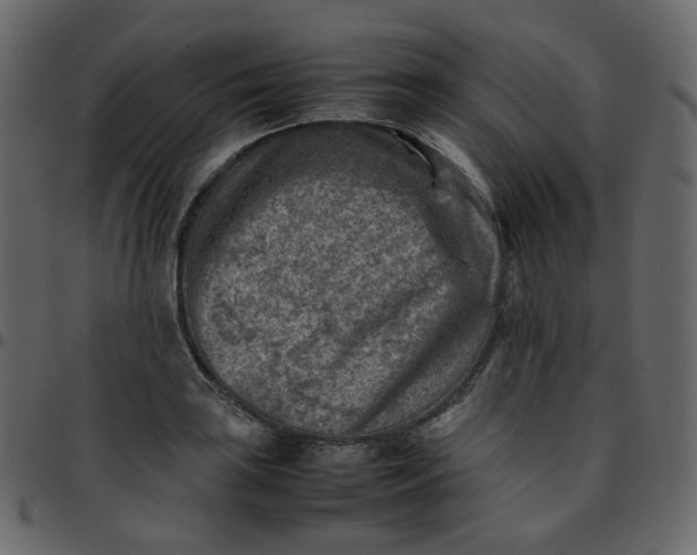 X0000095691035200801221243