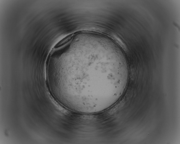 X0000095691036200801221243