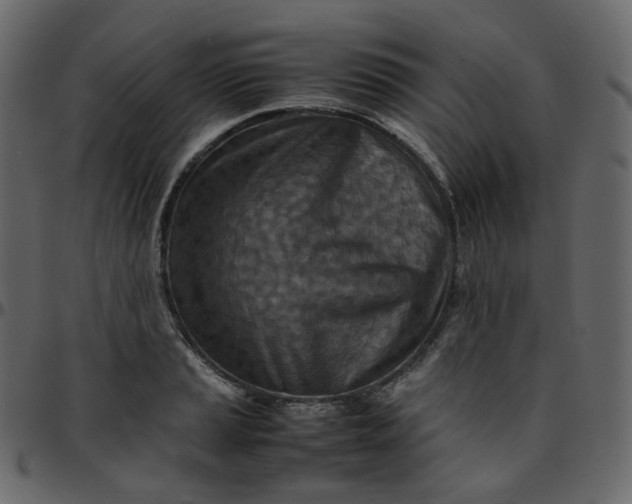 X0000095691037200801221243