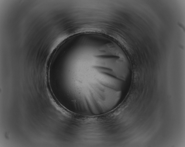 X0000095691038200801221243