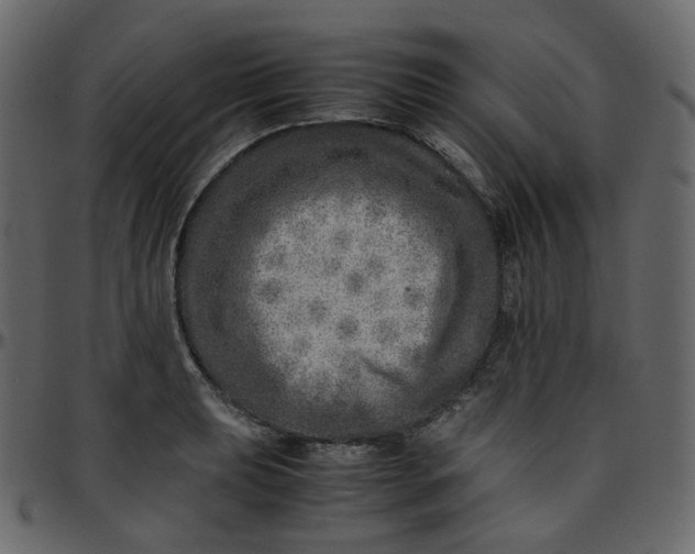 X0000095691039200801221243