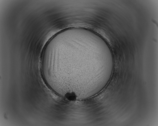 X0000095691040200801221243