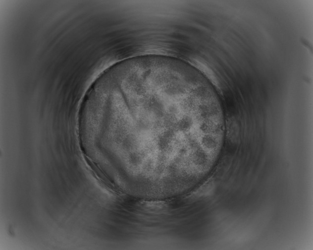 X0000095691043200801221243