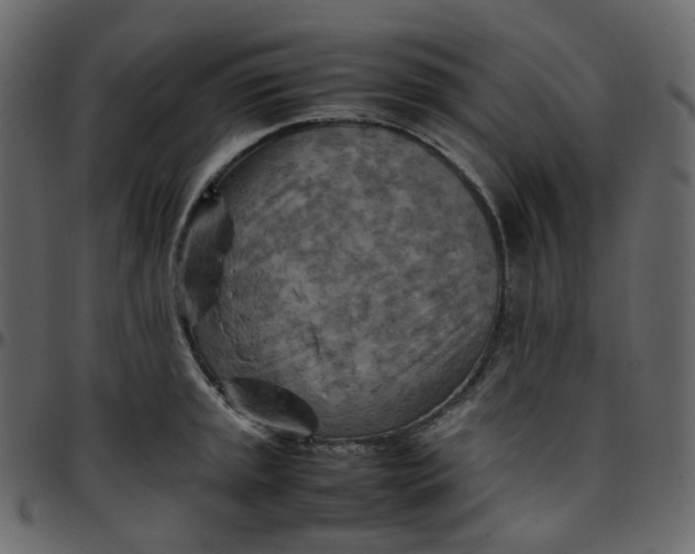 X0000095691045200801221243