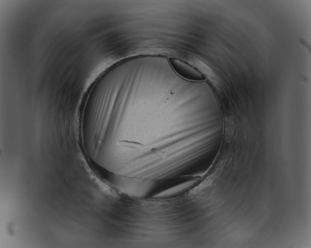 X0000095691046200801221243