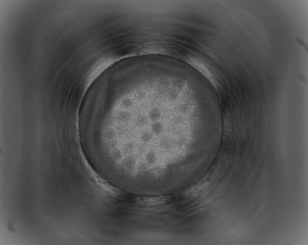 X0000095691047200801221243