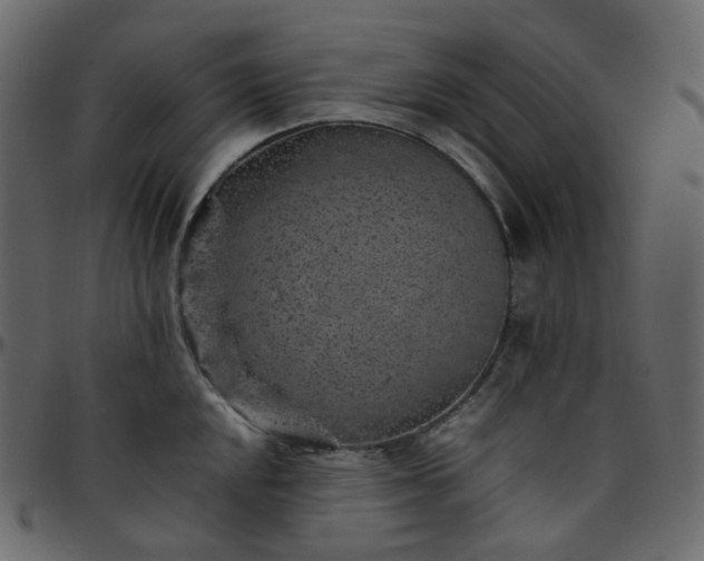 X0000095691048200801221243