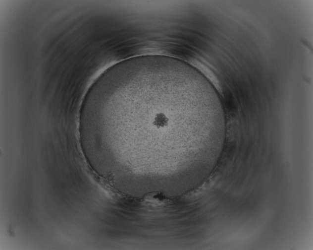 X0000095691051200801221243