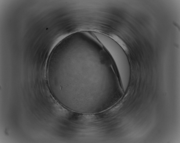 X0000095691052200801221243