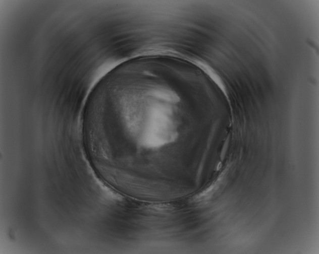 X0000095691053200801221243