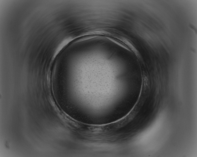 X0000095691054200801221243