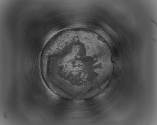 X0000095691055200801221243