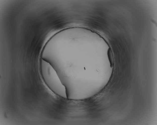 X0000095691056200801221243