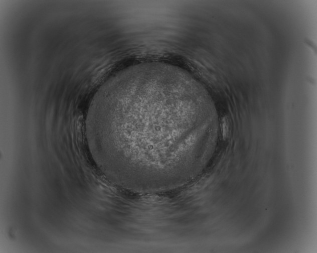 X0000095691059200801221243