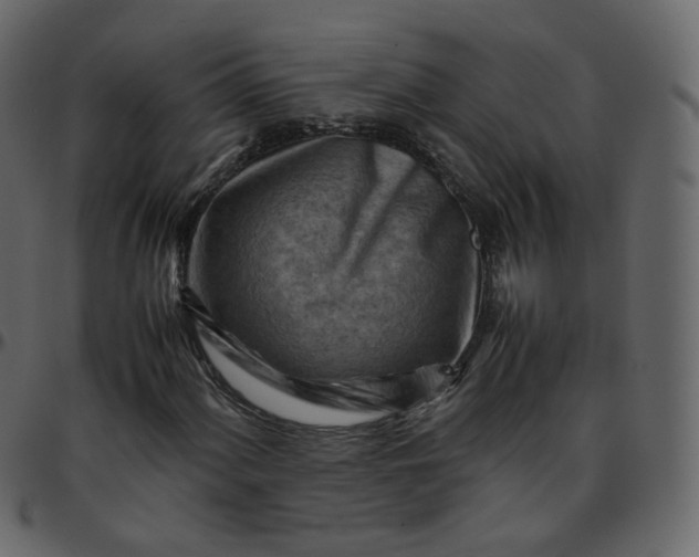 X0000095691060200801221243