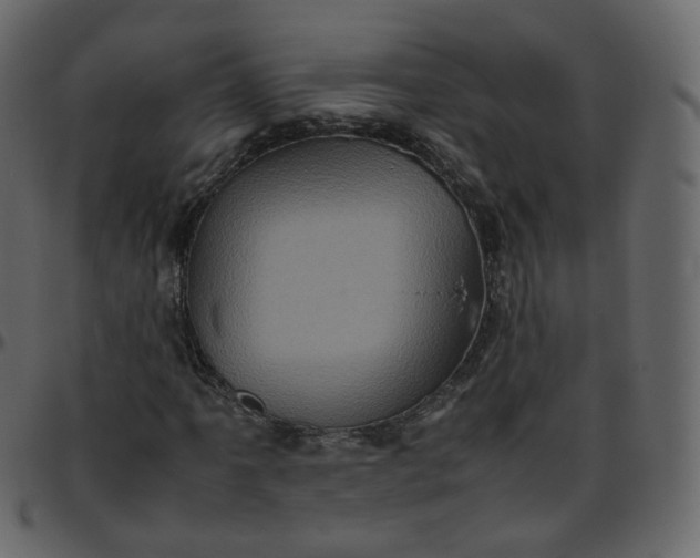 X0000095691061200801221243