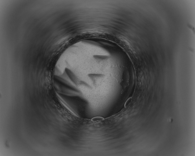 X0000095691062200801221243