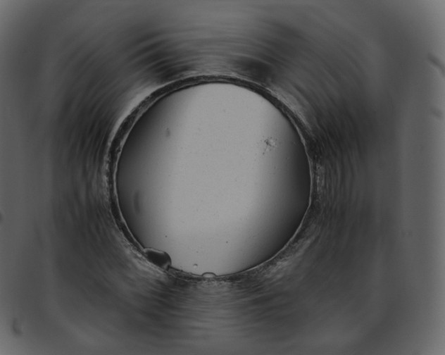 X0000095691068200801221242