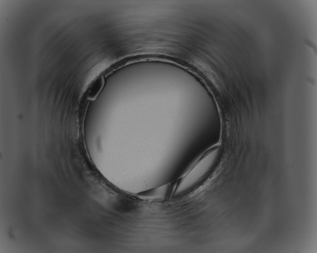 X0000095691069200801221242