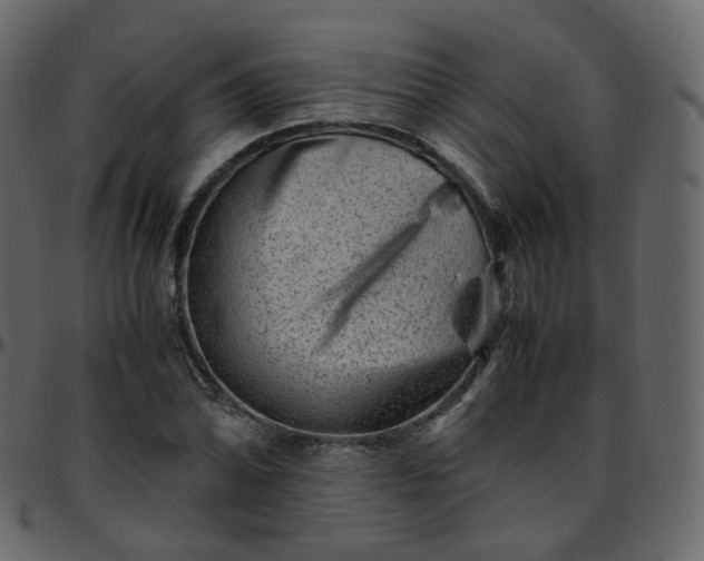 X0000095691070200801221242