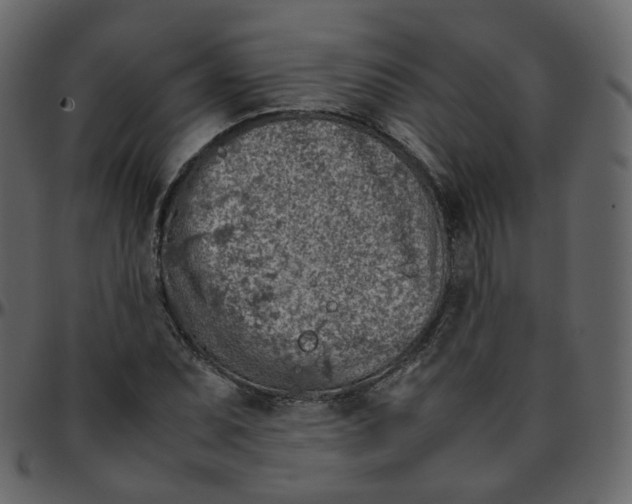 X0000095691071200801221242