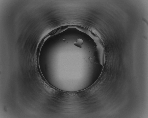 X0000095691072200801221242