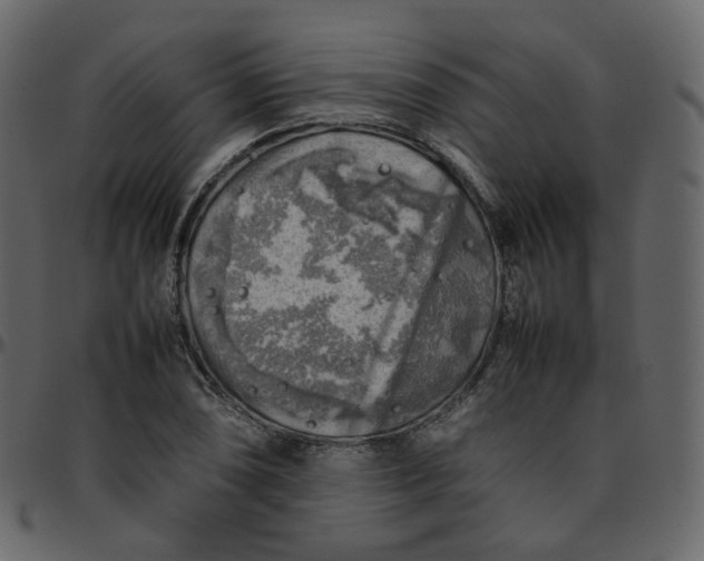 X0000095691074200801221242