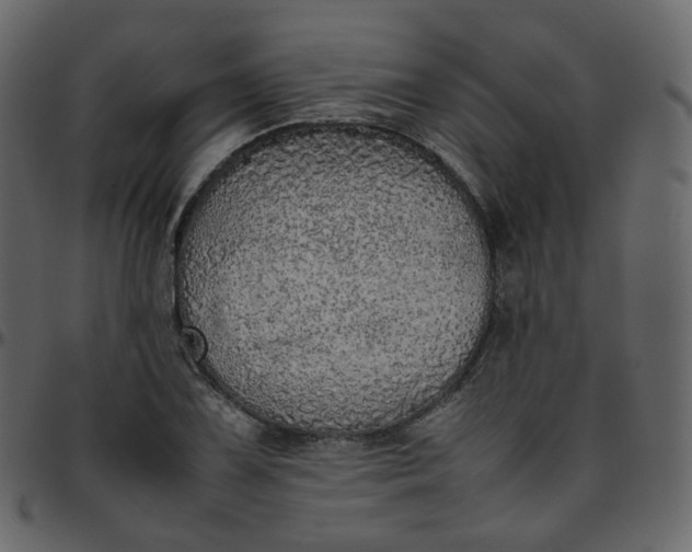 X0000095691075200801221242