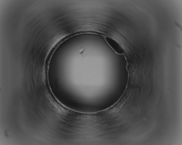 X0000095691076200801221242