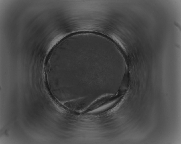 X0000095691077200801221242