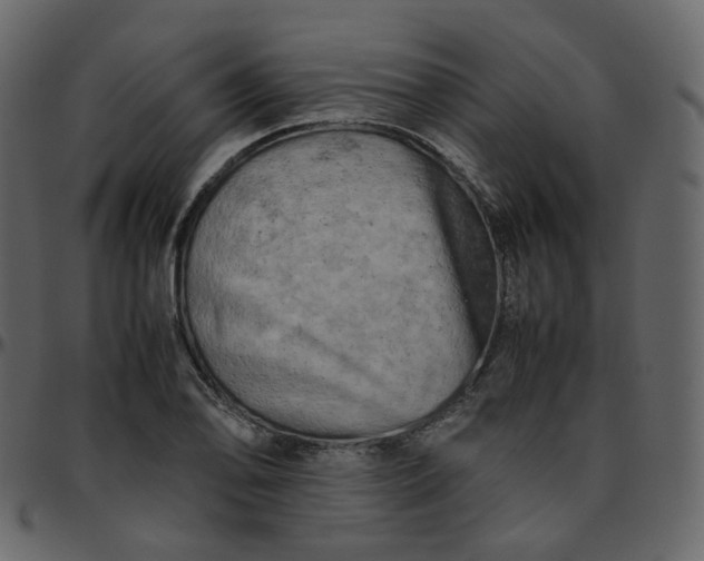 X0000095691078200801221242