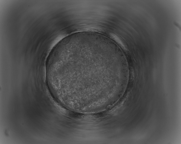 X0000095691079200801221242